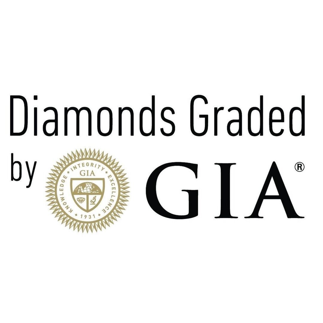 Webp.net-resizeimage-2-1