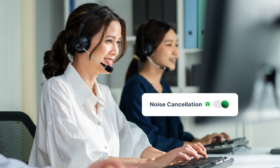 Noise Cancellation Software