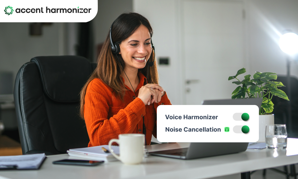 accent decision support software